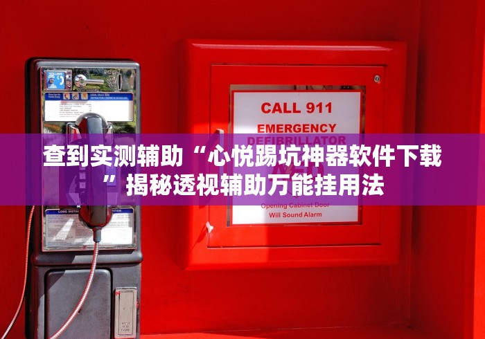 查到实测辅助“心悦踢坑神器软件下载	”揭秘透视辅助万能挂用法