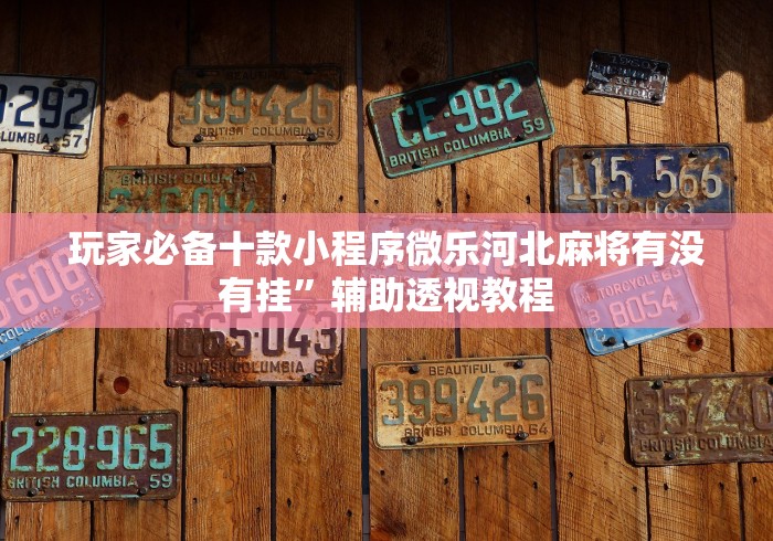 玩家必备十款小程序微乐河北麻将有没有挂”辅助透视教程