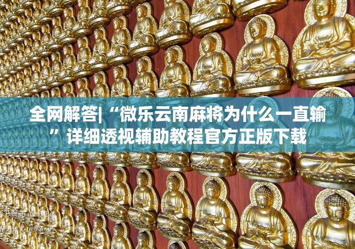 全网解答|“微乐云南麻将为什么一直输”详细透视辅助教程官方正版下载