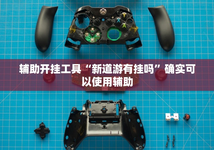 终于懂了“微乐捉老麻子神器	”揭秘透视辅助万能挂 