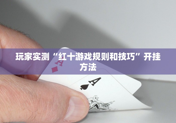 玩家实测“红十游戏规则和技巧”开挂方法