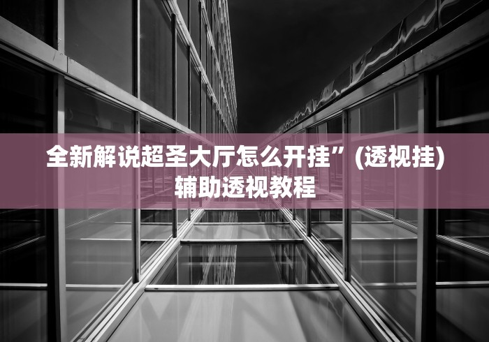 全新解说超圣大厅怎么开挂	”(透视挂)辅助透视教程