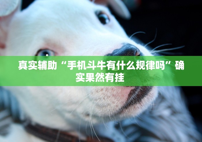 真实辅助“手机斗牛有什么规律吗	”确实果然有挂 