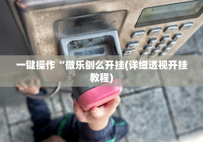 一键操作“微乐刨么开挂(详细透视开挂教程)