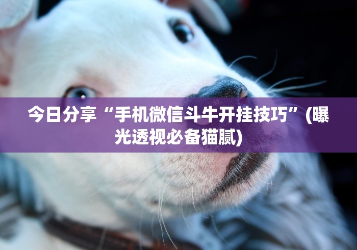 今日分享“手机微信斗牛开挂技巧	”(曝光透视必备猫腻)