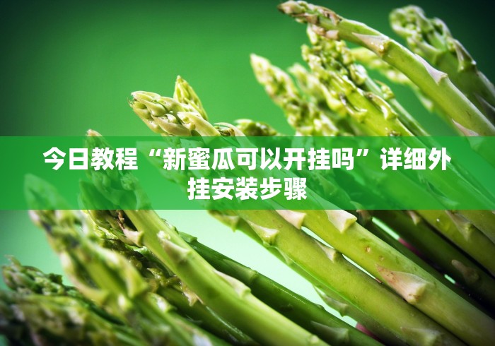 今日教程“新蜜瓜可以开挂吗”详细外挂安装步骤