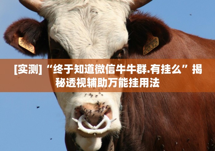 可用版本“微乐甘肃麻将可以开挂吗	”详细辅助软件教程