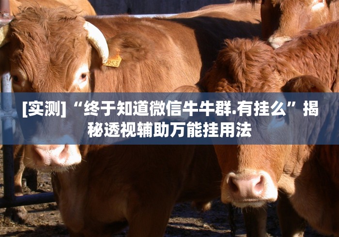 [实测]“终于知道微信牛牛群.有挂么”揭秘透视辅助万能挂用法