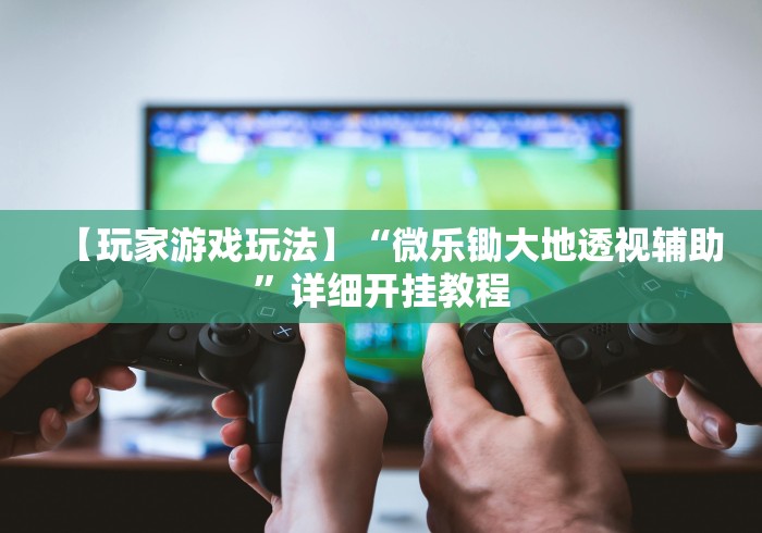 【玩家游戏玩法】“微乐锄大地透视辅助”详细开挂教程