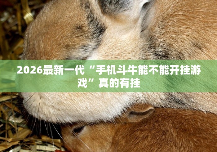 给大家讲解“微乐刨幺辅助”掌握辅助功能必胜规则