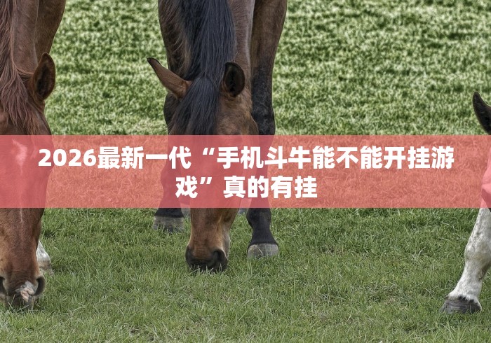 2026最新一代“手机斗牛能不能开挂游戏”真的有挂