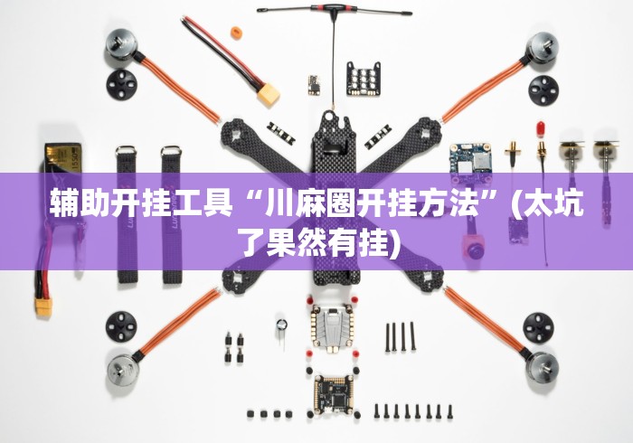辅助开挂工具“川麻圈开挂方法”(太坑了果然有挂)