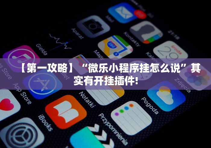 【第一攻略】“微乐小程序挂怎么说”其实有开挂插件!