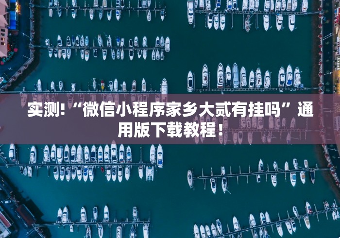 实测!“微信小程序家乡大贰有挂吗”通用版下载教程！