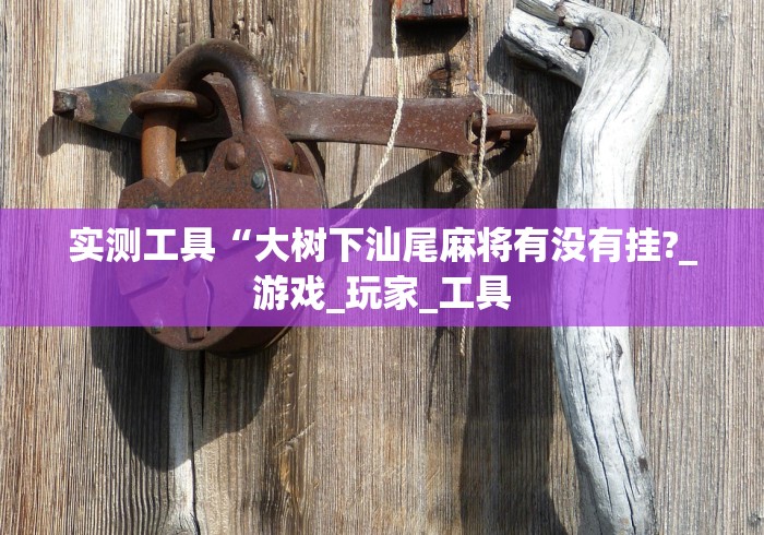 丰富分享“红包透视神器!详细开挂教程