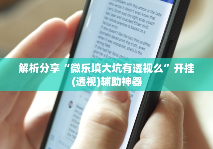 解析分享“微乐填大坑有透视么”开挂(透视)辅助神器