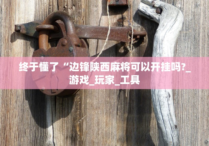 终于懂了“边锋陕西麻将可以开挂吗?_游戏_玩家_工具 终于懂了“边锋陕西麻将可以开挂吗?_游戏_玩家_工具
