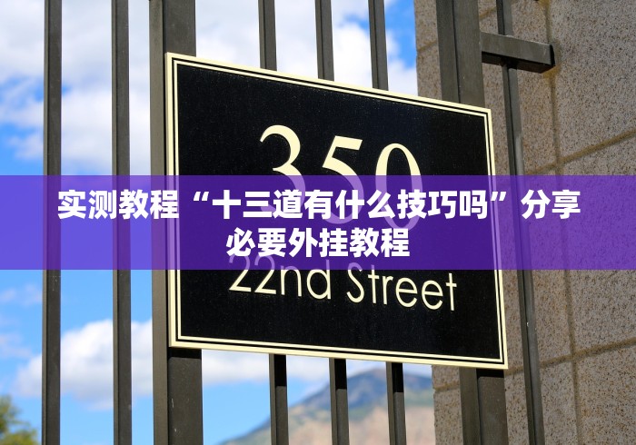 实测教程“十三道有什么技巧吗”分享必要外挂教程