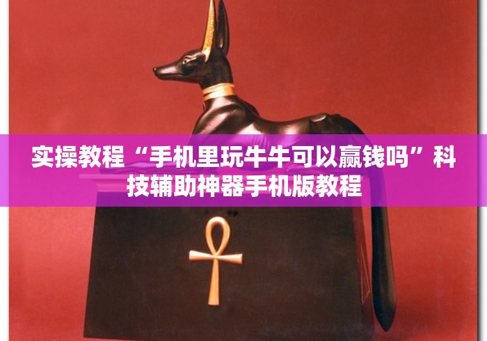 实操教程“手机里玩牛牛可以赢钱吗”科技辅助神器手机版教程