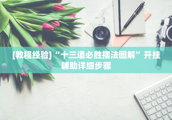 [教程经验]“十三道必胜摆法图解”开挂辅助详细步骤