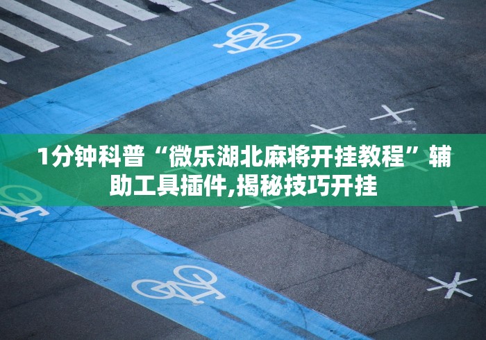 1分钟科普“微乐湖北麻将开挂教程”辅助工具插件,揭秘技巧开挂