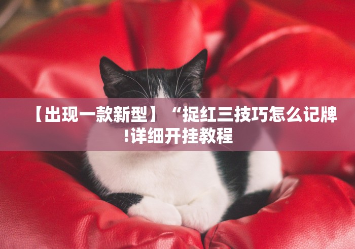 【出现一款新型】“捉红三技巧怎么记牌!详细开挂教程 【出现一款新型】“捉红三技巧怎么记牌!详细开挂教程