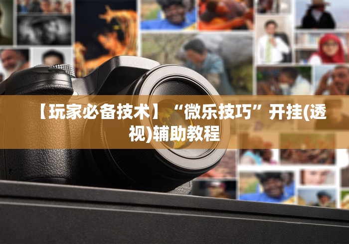 【玩家必备技术】“微乐技巧”开挂(透视)辅助教程