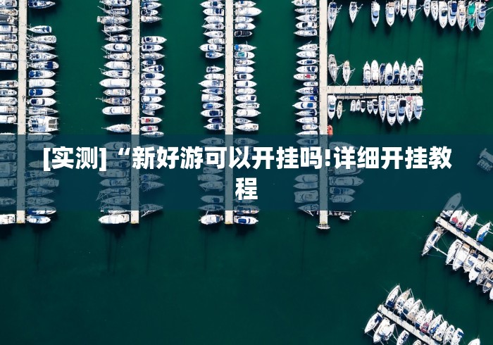[实测]“新好游可以开挂吗!详细开挂教程
