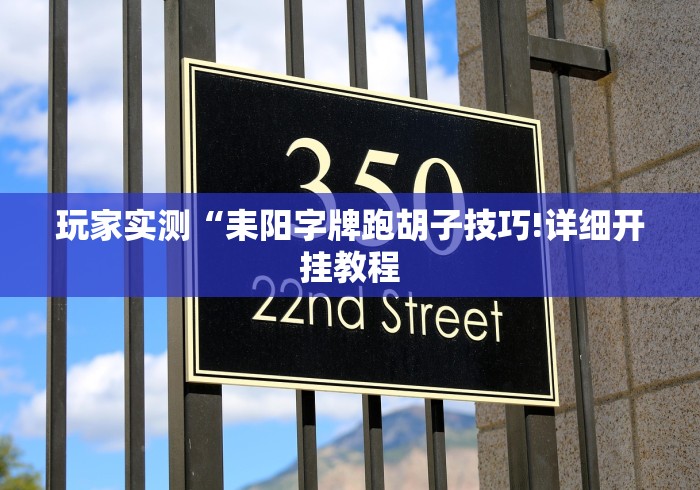玩家实测“耒阳字牌跑胡子技巧!详细开挂教程