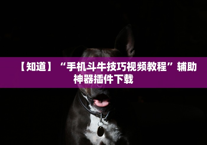 【知道】“手机斗牛技巧视频教程”辅助神器插件下载