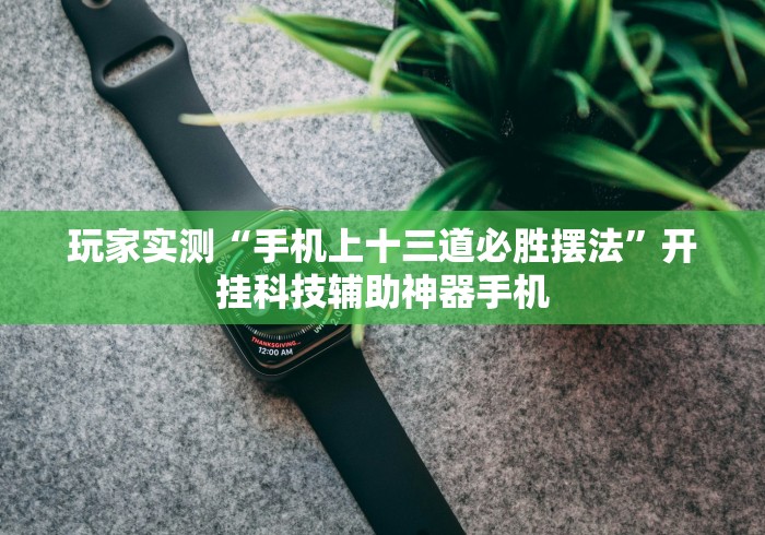 玩家实测“手机上十三道必胜摆法	”开挂科技辅助神器手机