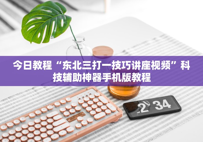 今日教程“东北三打一技巧讲座视频	”科技辅助神器手机版教程