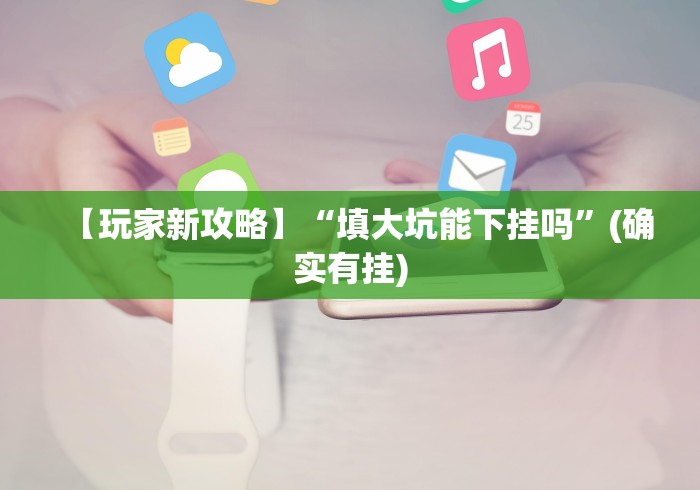 【玩家新攻略】“填大坑能下挂吗”(确实有挂)