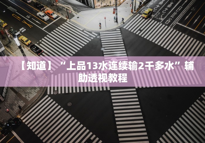 【知道】“上品13水连续输2千多水”辅助透视教程