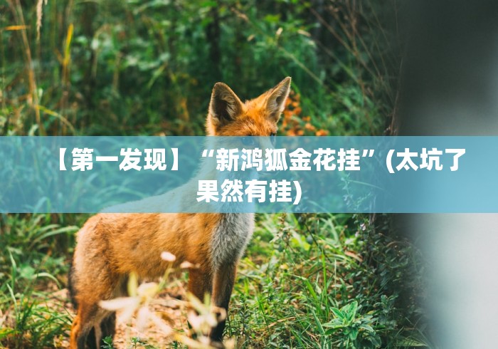 【第一发现】“新鸿狐金花挂	”(太坑了果然有挂)