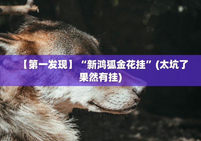 【第一发现】“新鸿狐金花挂”(太坑了果然有挂)