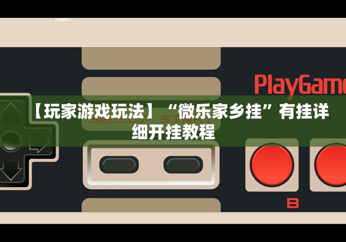 【玩家游戏玩法】“微乐家乡挂”有挂详细开挂教程