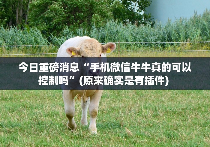 今日重磅消息“手机微信牛牛真的可以控制吗	”(原来确实是有插件) 