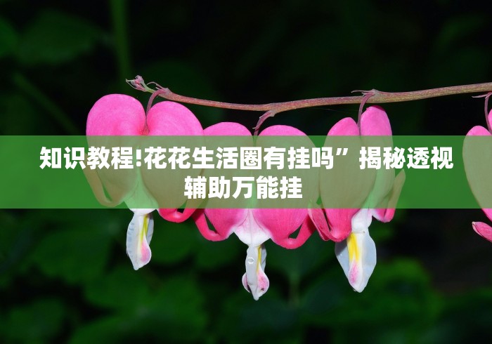 知识教程!花花生活圈有挂吗	”揭秘透视辅助万能挂 