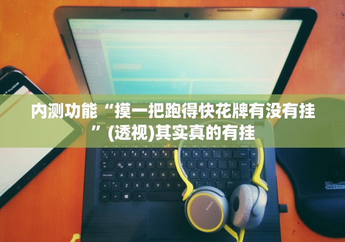 内测功能“摸一把跑得快花牌有没有挂	”(透视)其实真的有挂