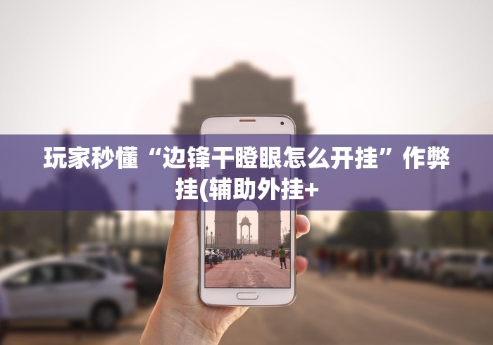 玩家秒懂“边锋干瞪眼怎么开挂”作弊挂(辅助外挂+