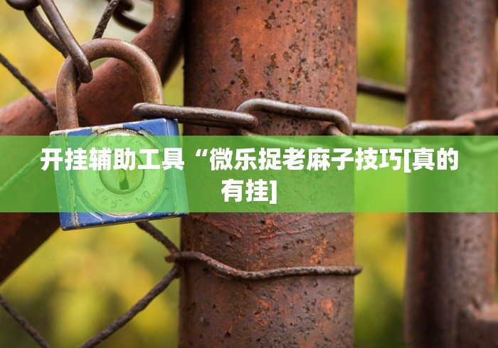 开挂辅助工具“微乐捉老麻子技巧[真的有挂]