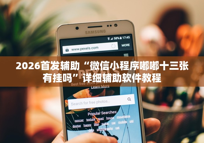 2026首发辅助“微信小程序嘟嘟十三张有挂吗”详细辅助软件教程