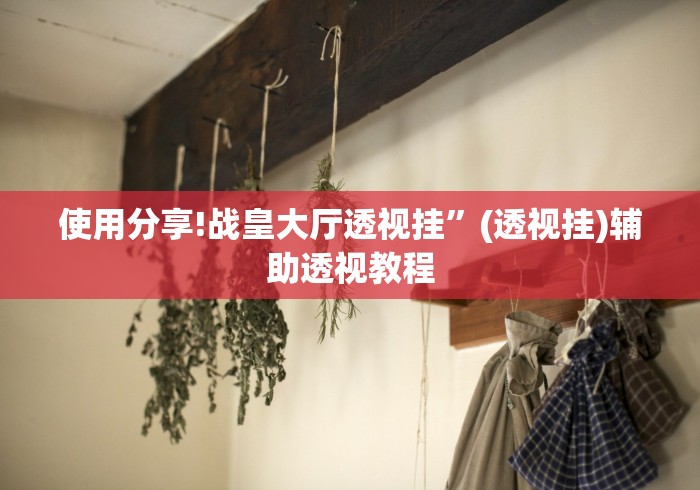 使用分享!战皇大厅透视挂”(透视挂)辅助透视教程