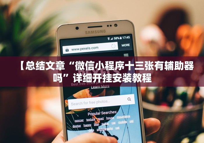【总结文章“微信小程序十三张有辅助器吗”详细开挂安装教程