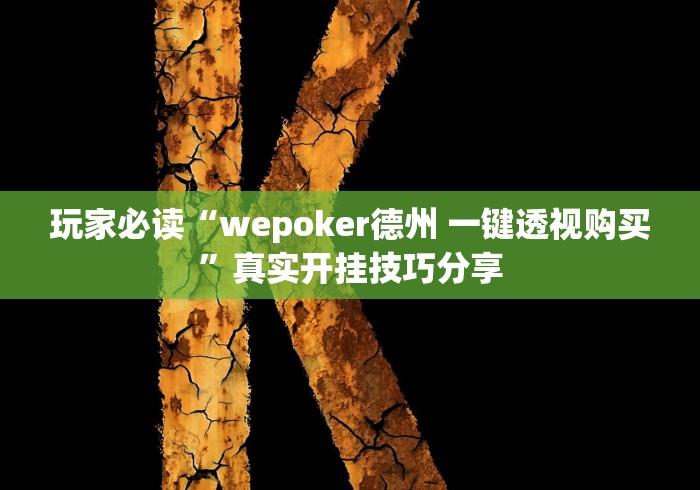 玩家必读“wepoker德州 一键透视购买	”真实开挂技巧分享