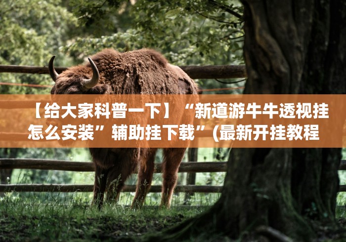 【给大家科普一下】“新道游牛牛透视挂怎么安装”辅助挂下载	”(最新开挂教程)