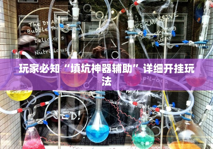 玩家必知“填坑神器辅助”详细开挂玩法