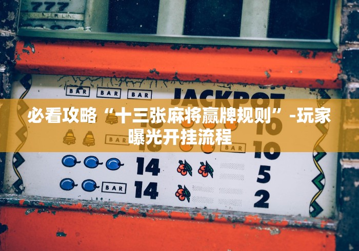 必看攻略“十三张麻将赢牌规则	”-玩家曝光开挂流程