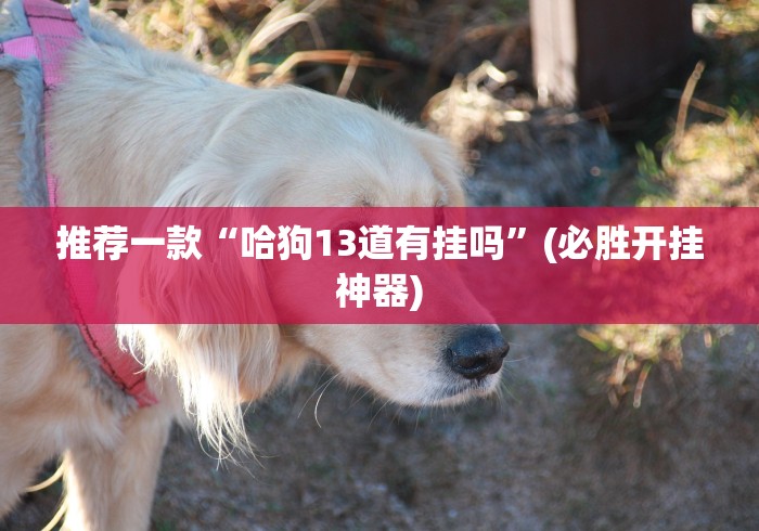 推荐一款“哈狗13道有挂吗”(必胜开挂神器)